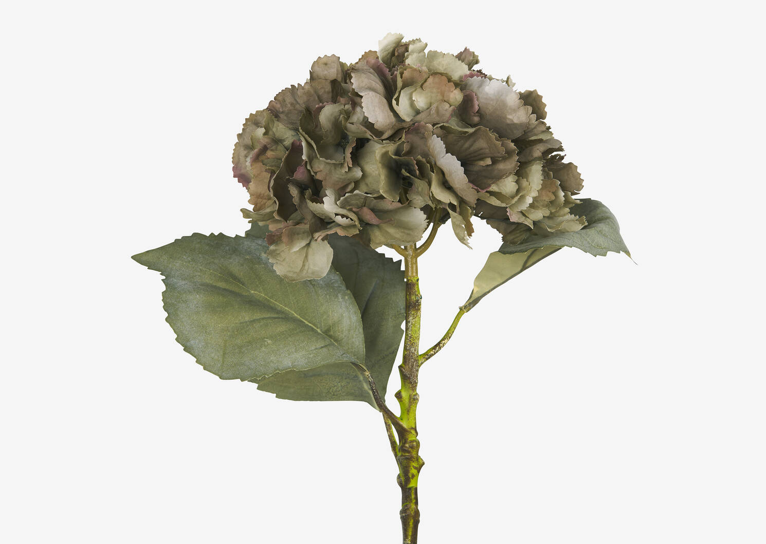 Adell Hydrangea Antique Green