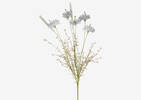 Rhona Cornflower Stem Pacific