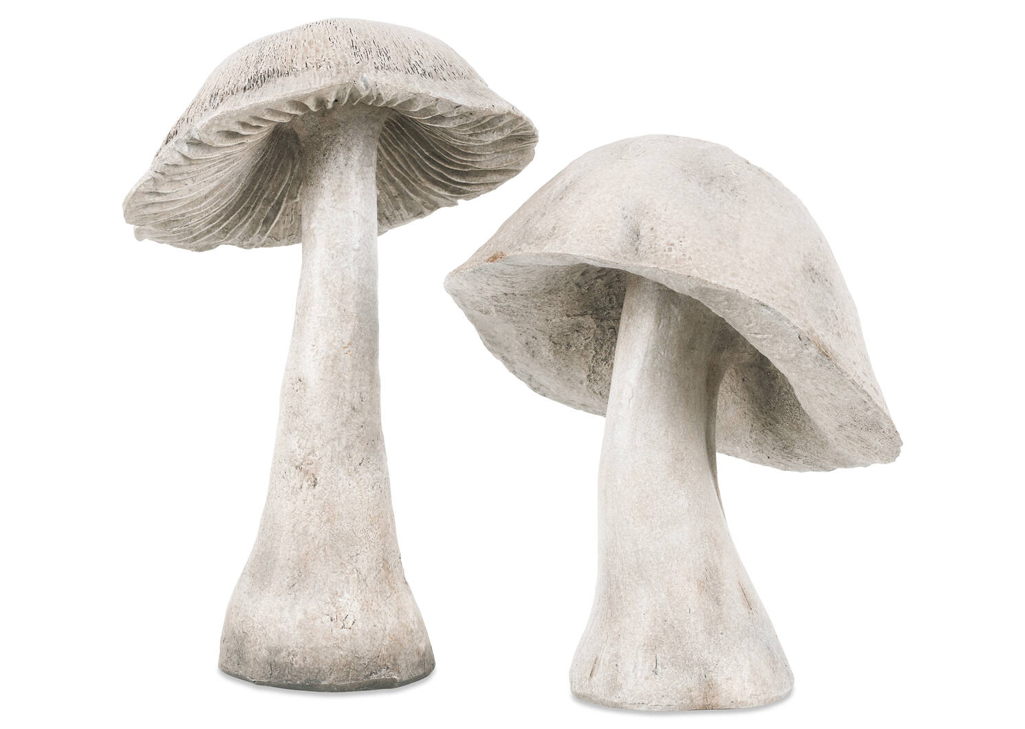 Mushroom Decor Short