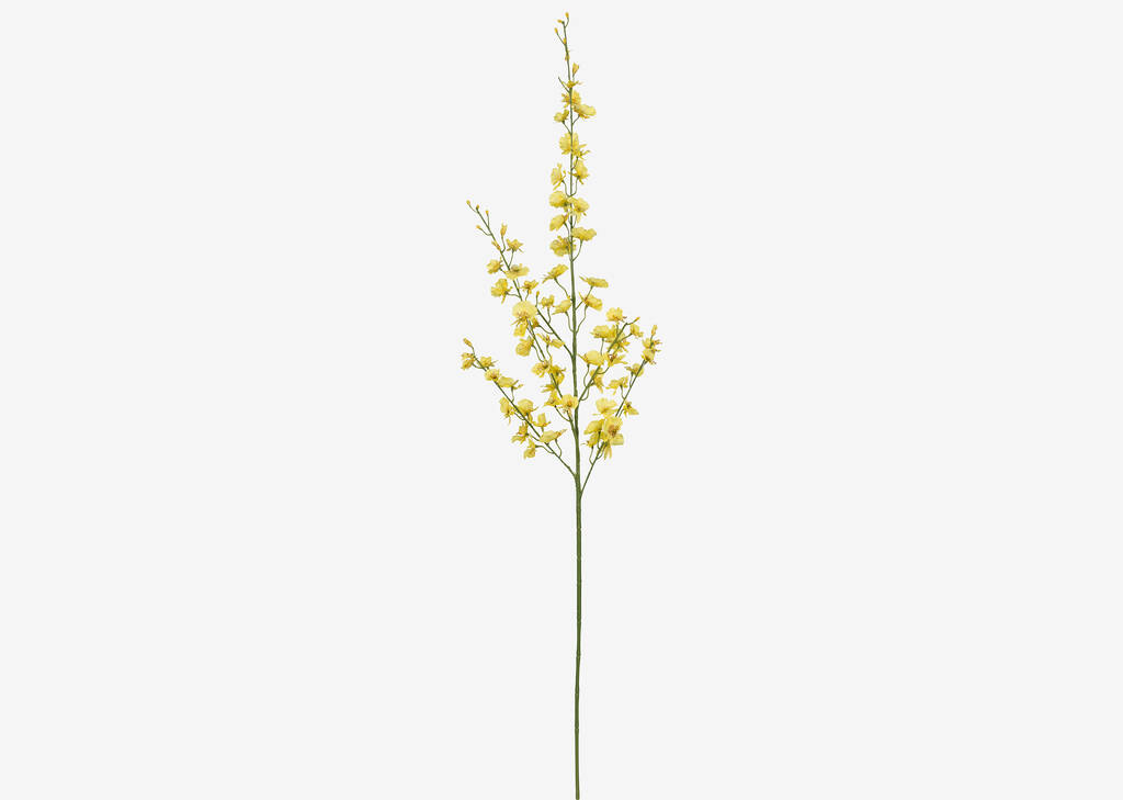 Liza Dancing Orchid Branch Yellow