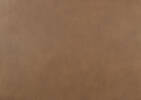 Eldridge Leather Dining Chair -Leo Mocha