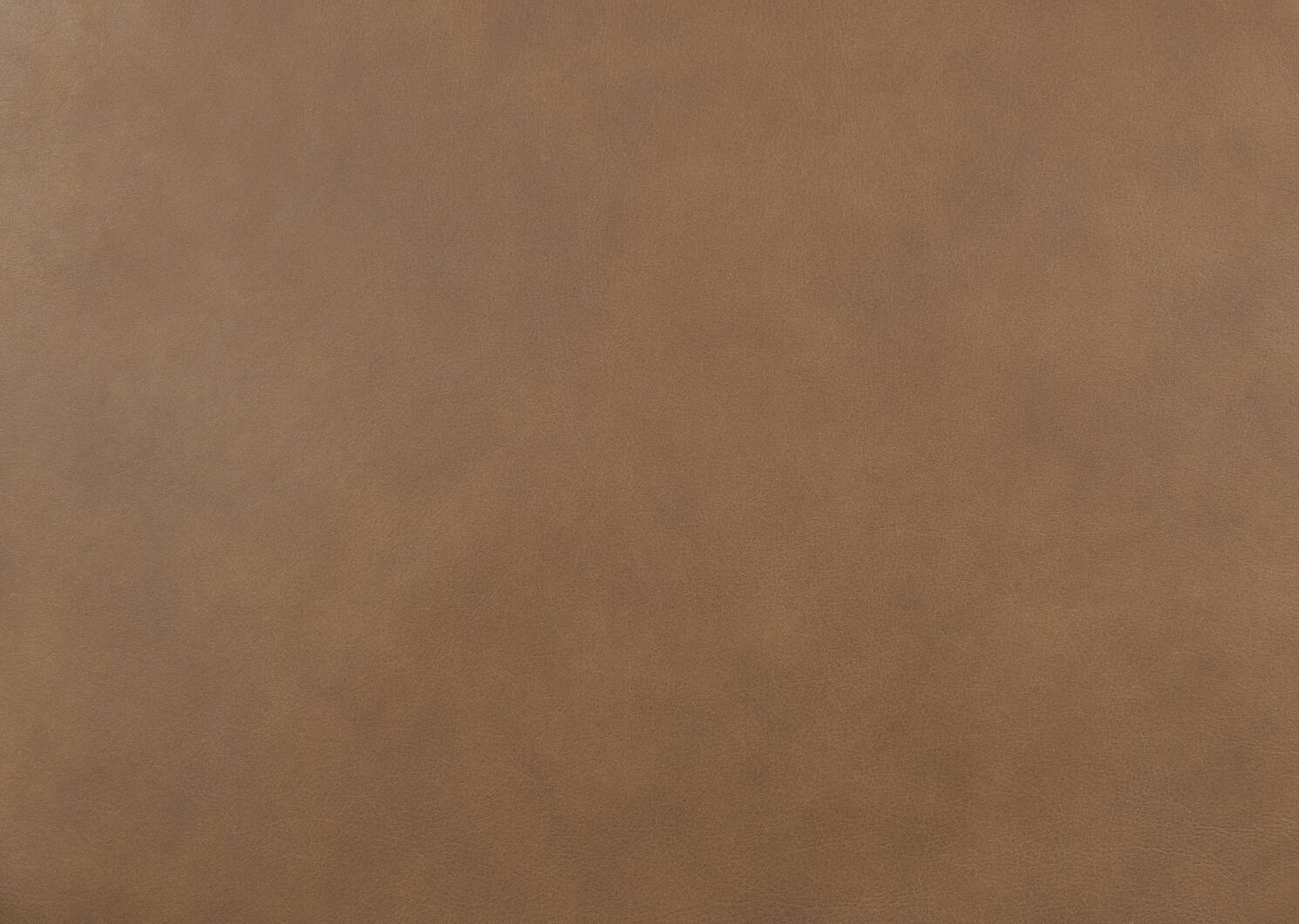 Eldridge Leather Dining Chair -Leo Mocha