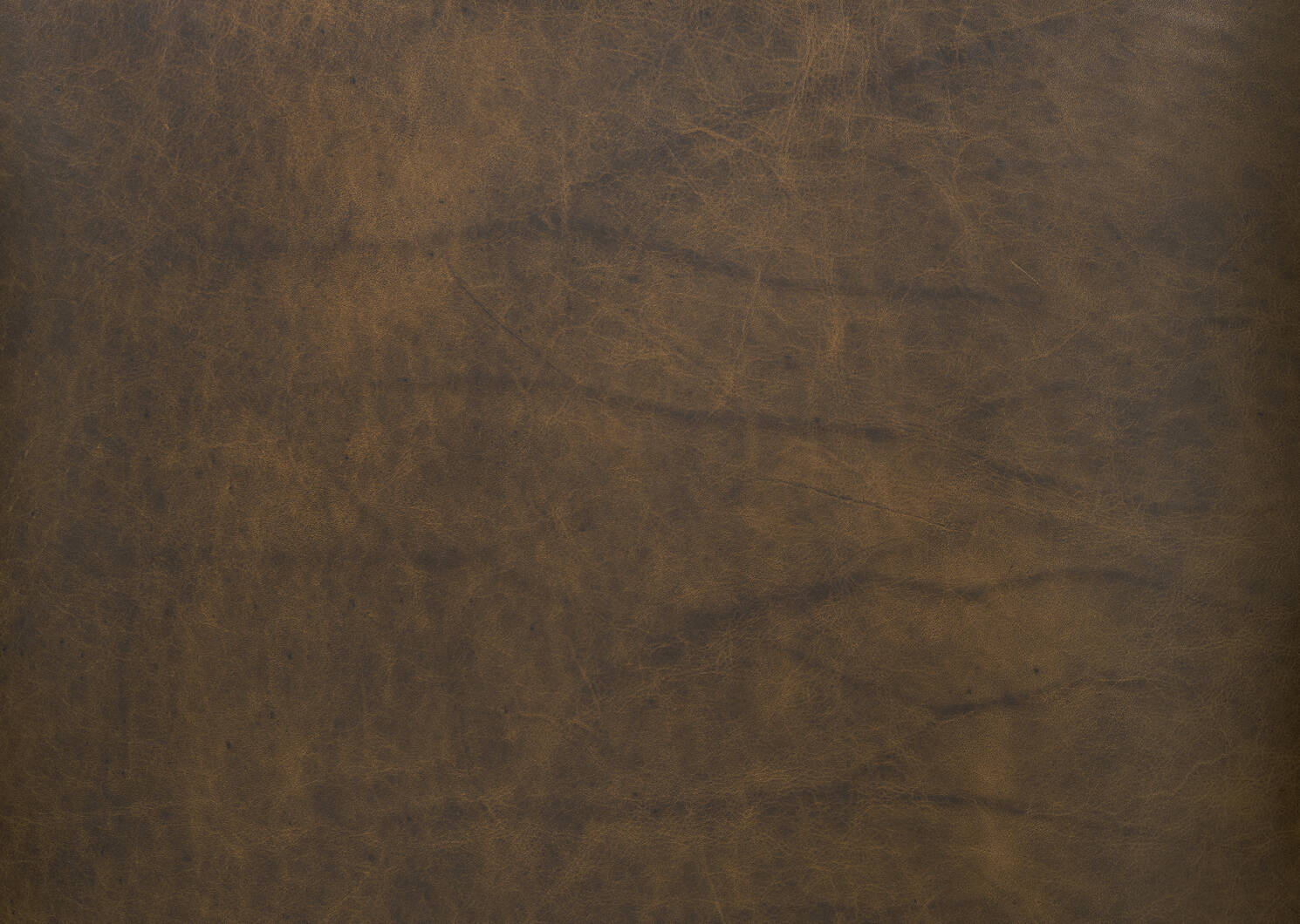 Marcello Leather Armchair -Waco Tobacco