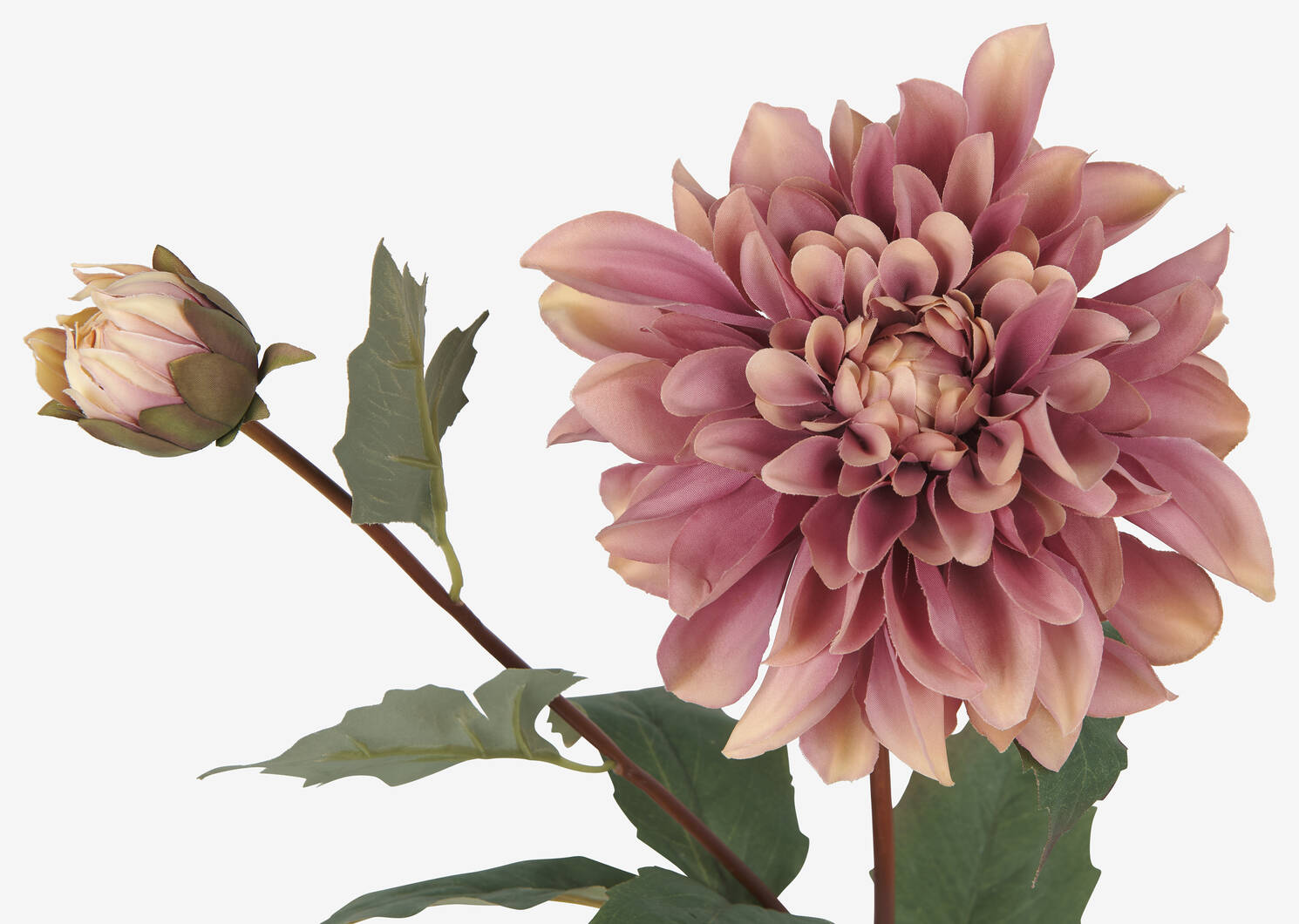 Meg Dahlia Branch Pink