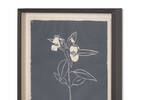 Himalayan Balsam Framed Print