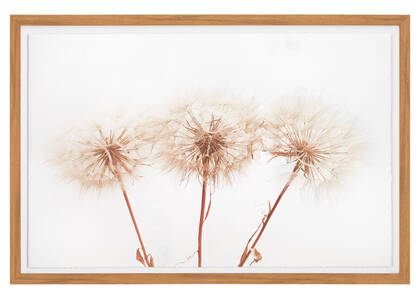 Wall Art Urban Barn