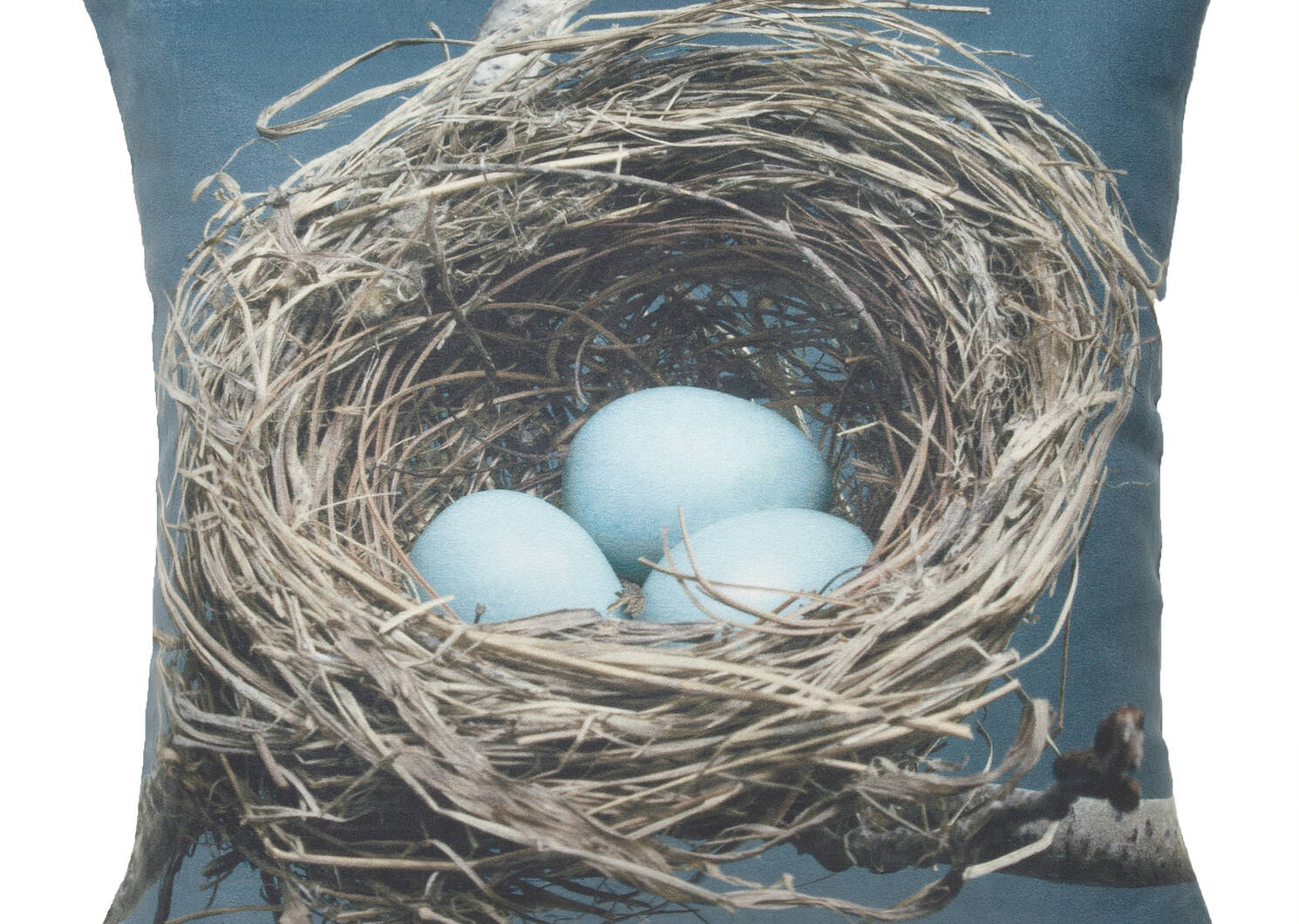 Banff Bird's Nest Toss 16x16