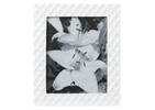 Kiara Frame 8x10 White