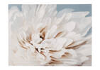 Toile Paeonia