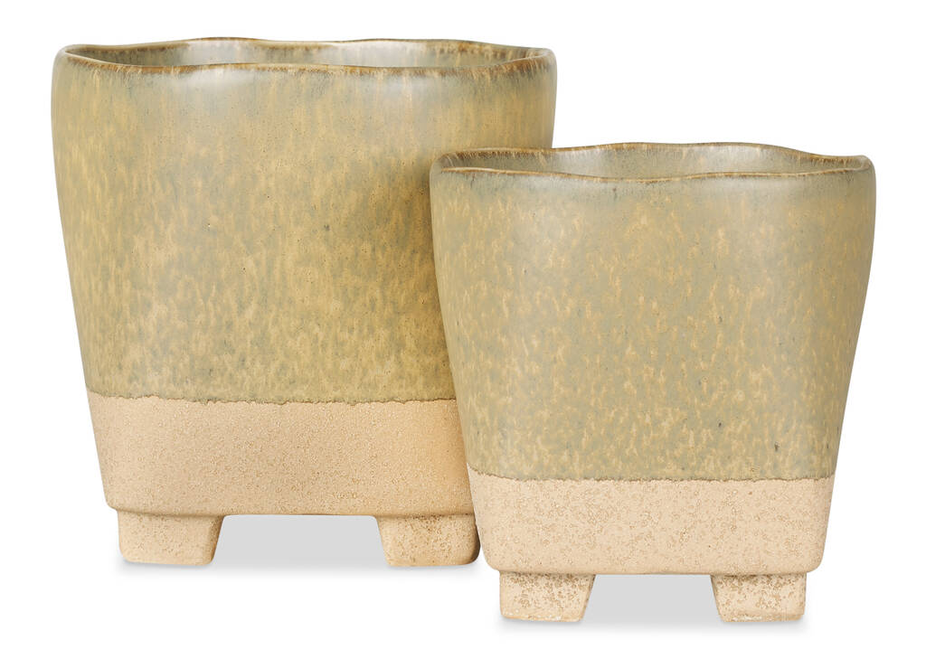 Raeley Planters Sprout