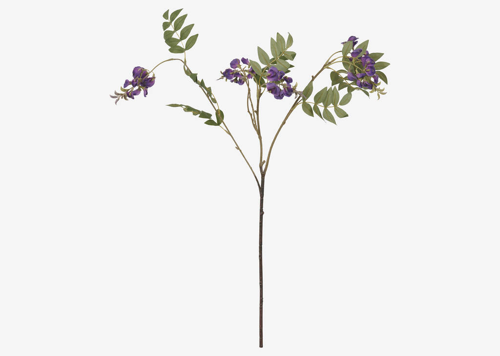 Byer Wisteria Branch Purple