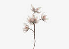 Tige de fleur Dree rose ballet
