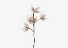 Dree Flower Stem Ballet Pink
