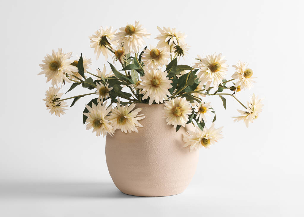 Vase Daleyza et tiges d’échinacée Cate