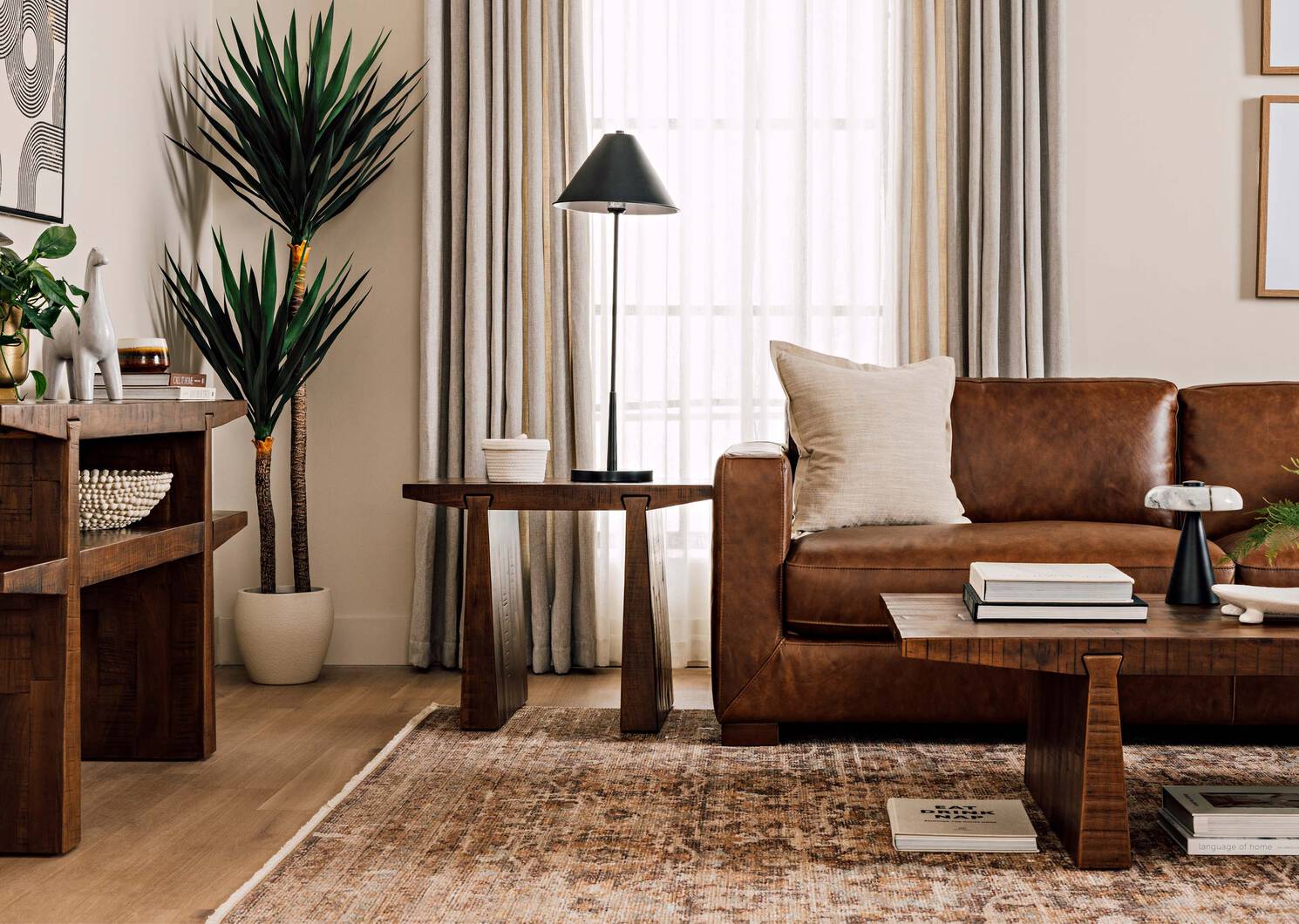 Lucas Yucca Tree Potted