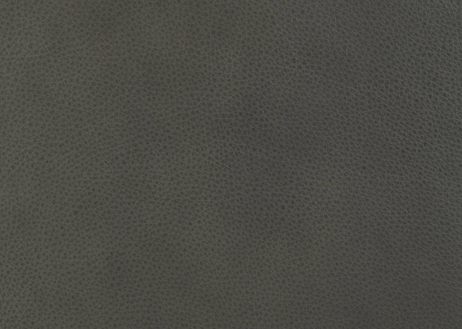 Esmae Leather Dining Chair -Reede Charco