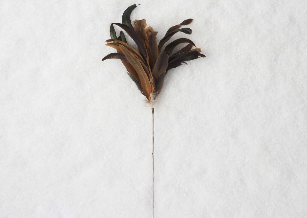 Branche Plumes dorée