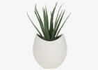 Raya Planter Large