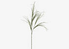 Tevin Grass Branch