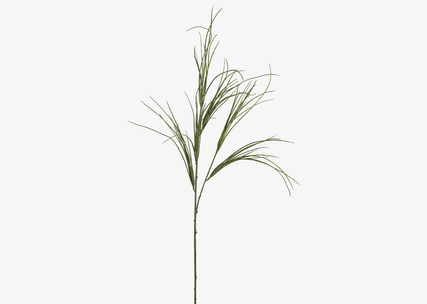 Tevin Grass Branch