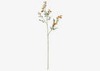 Matilda Rose Branch Yellow