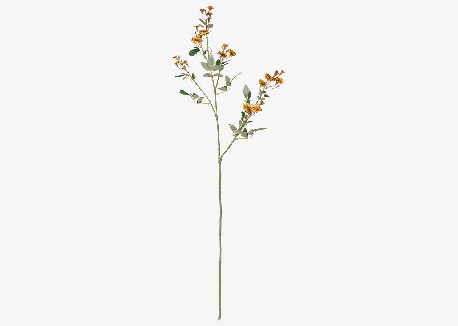 Matilda Rose Branch Yellow