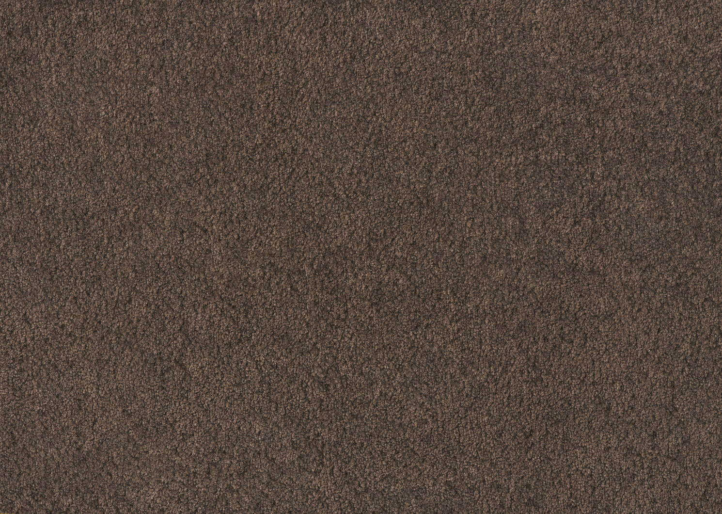 Fauteuil Statler -Judy chocolat