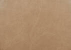 Mirau Sw Counter Stool -Bellissimo Tan