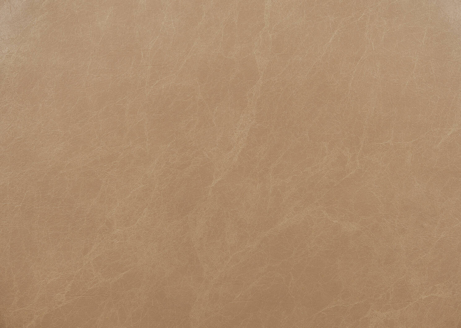 Mirau Sw Counter Stool -Bellissimo Tan