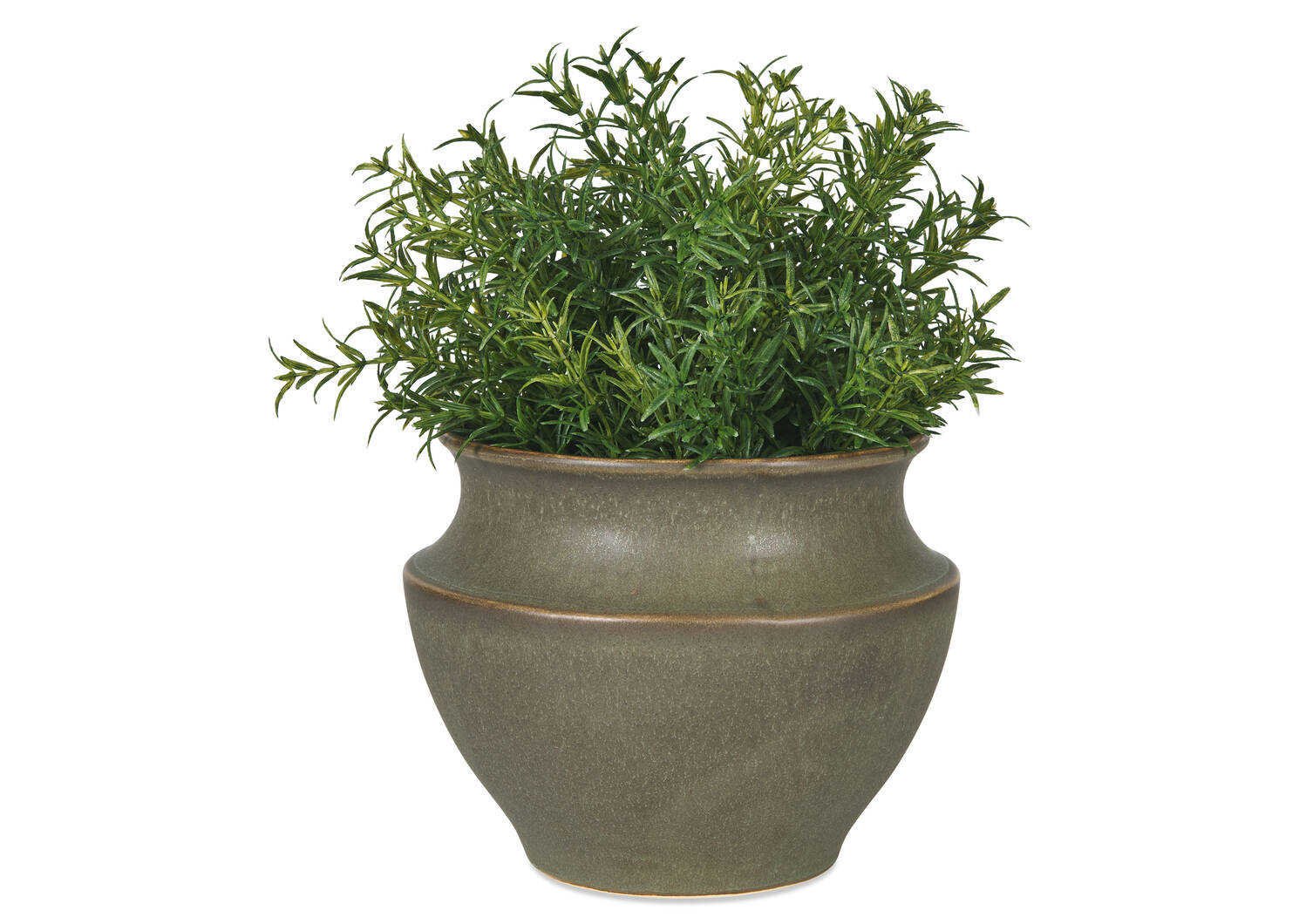 Barber Planter Small