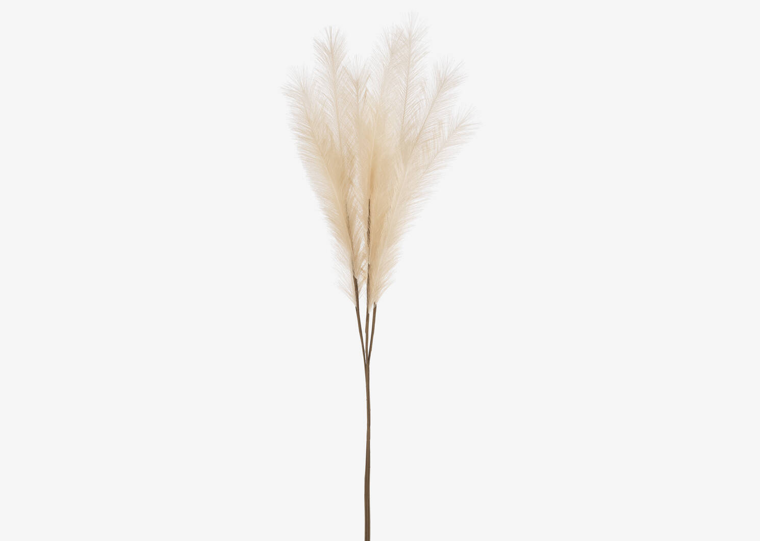 Marianna Pampas Bunch Taupe