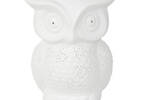 Owl Glow Lamp