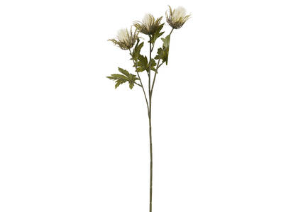 Thorne Teasel Branch Ivory