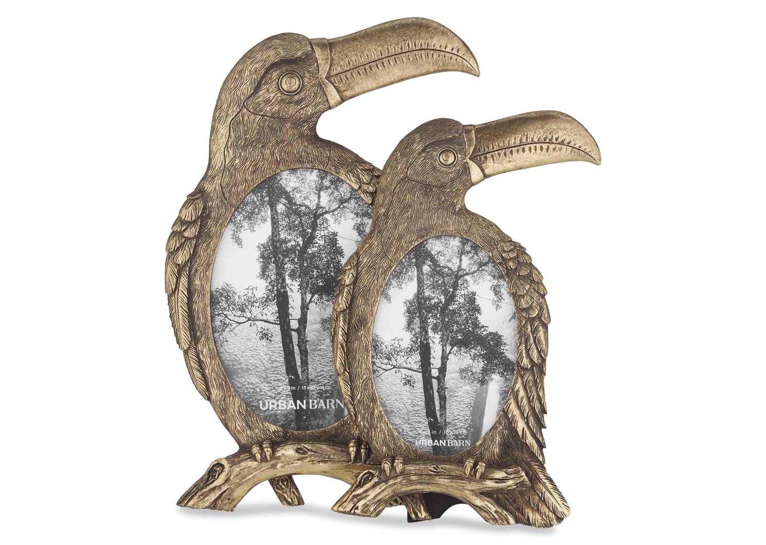 Toucan Frames -Brass