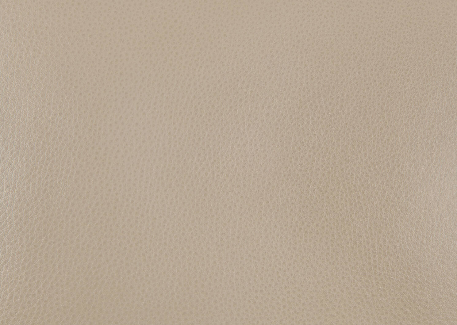 Chaise en cuir Esmae -Reede pierre