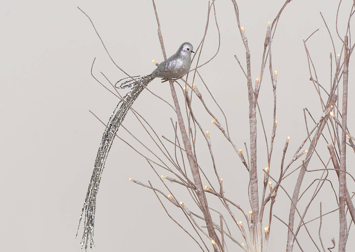 Ornement oiseau Long Tail argenté