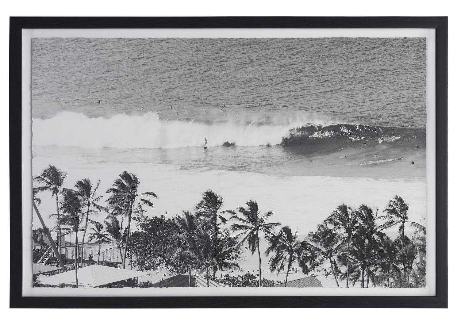 Palm Beach Wall Art