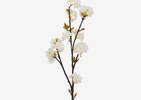 Tige de fleurs de cerisier Kaya blanche