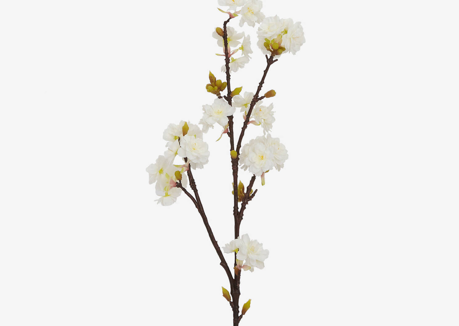 Tige de fleurs de cerisier Kaya blanche