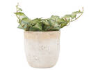 Olas Outdoor Planter Medium