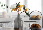 Crofton 16pc Dish Set Antique White