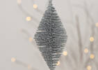 Shirley Bristle Orn Silver