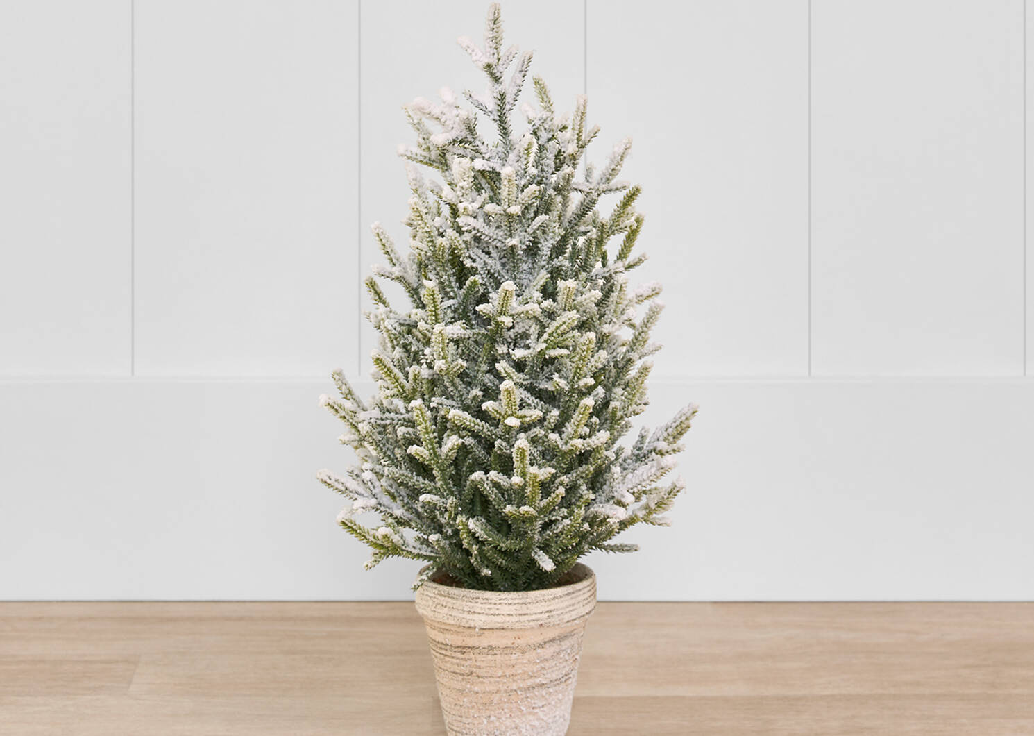 Sapin enneig&eacute; en pot Quesnel