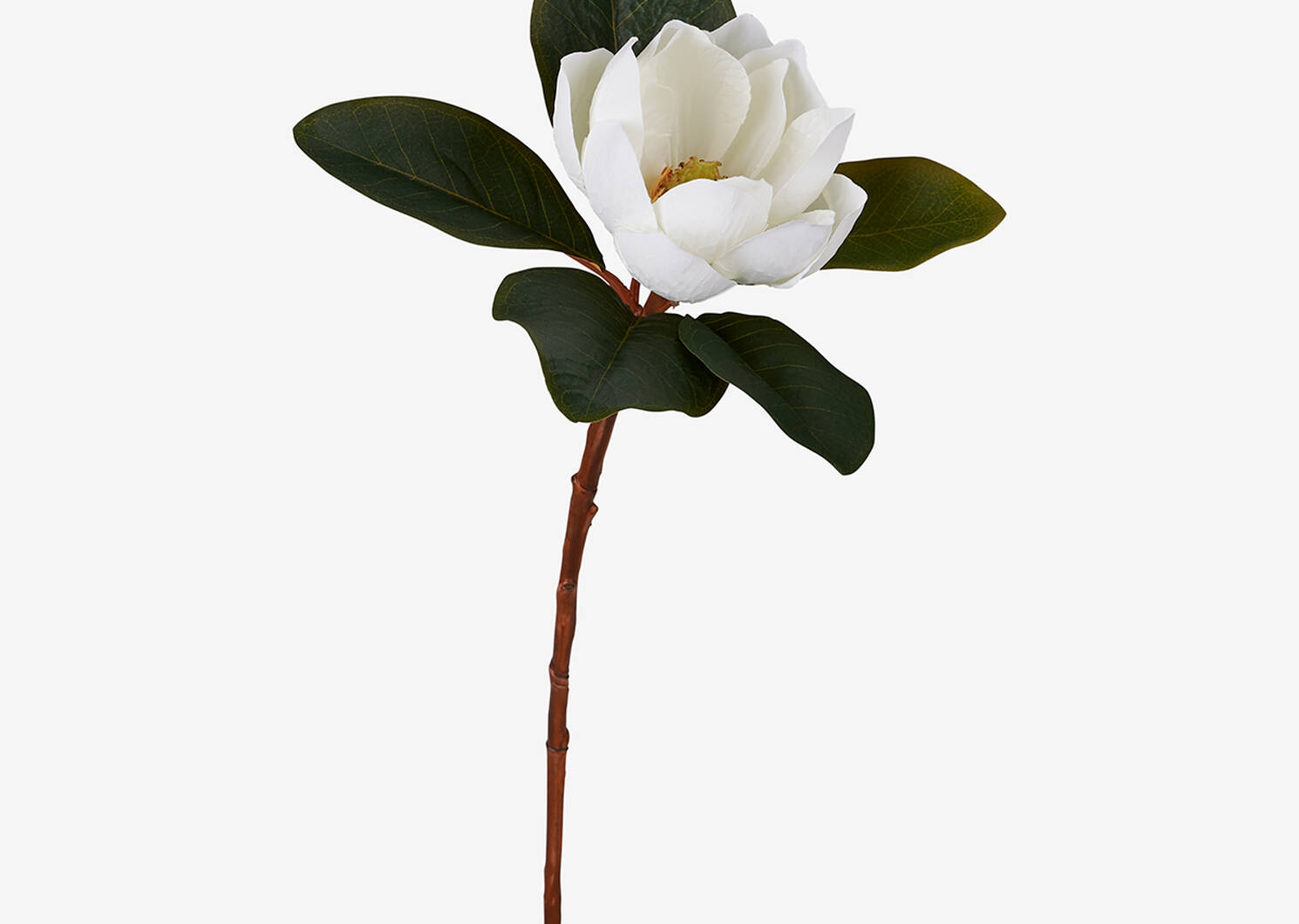 Kelli Magnolia Stem White