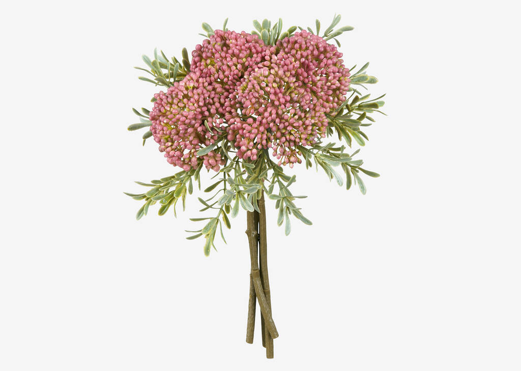 Bouquet de sedums Cami roses