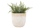 Olas Outdoor Planters