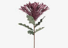 Elyna Flower Stem Magenta