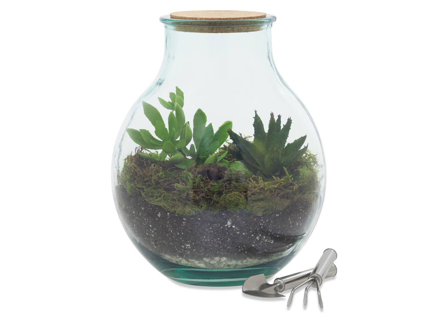 Evie Terrarium Kit Large