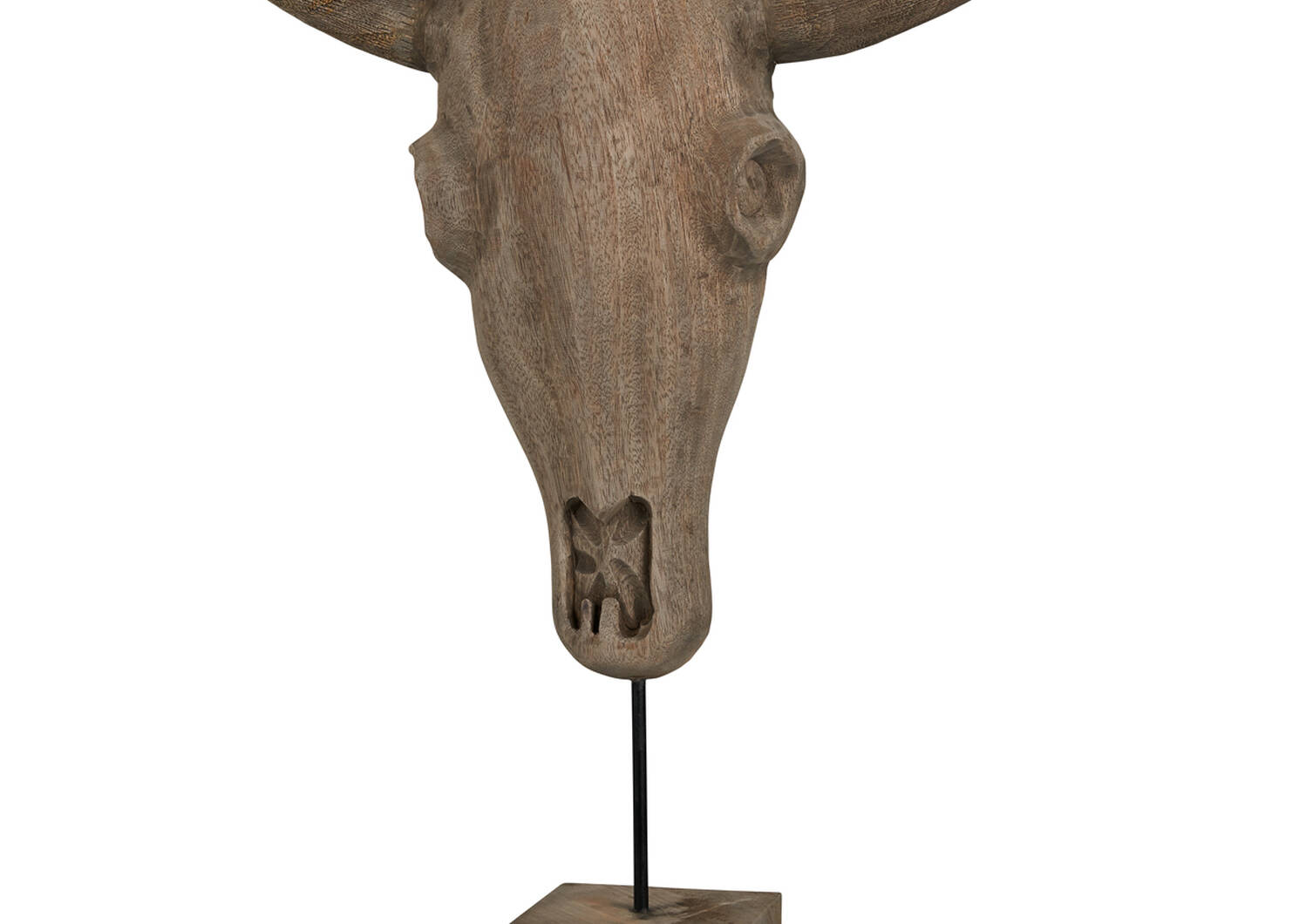 Etan Bull Head Sculpture