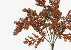 Branche de fleurs fructifiées Esther tam